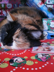 My cat discovered that the warmest place to sleep is under the tree with all the presents.